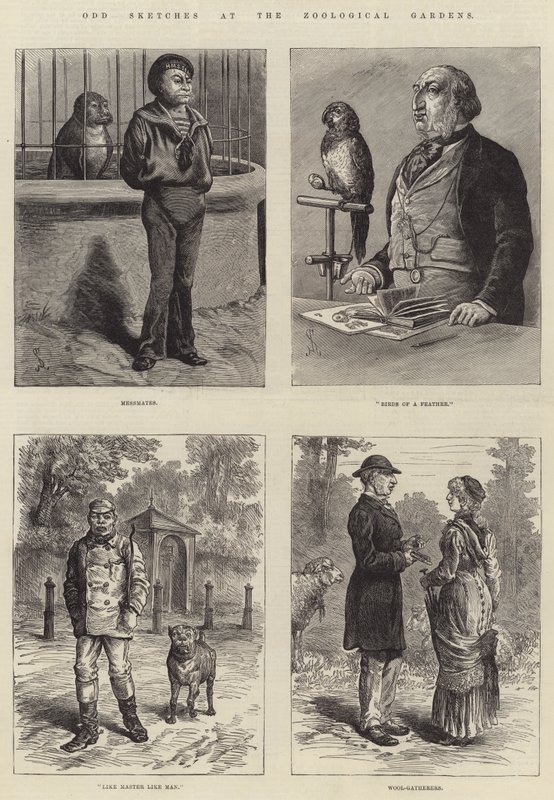 Podivné skici v zoologické zahradě od Johann Nepomuk Schonberg