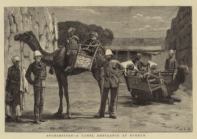 Afghánistán, velbloudí ambulance v Kurrumu od John Charles Dollman