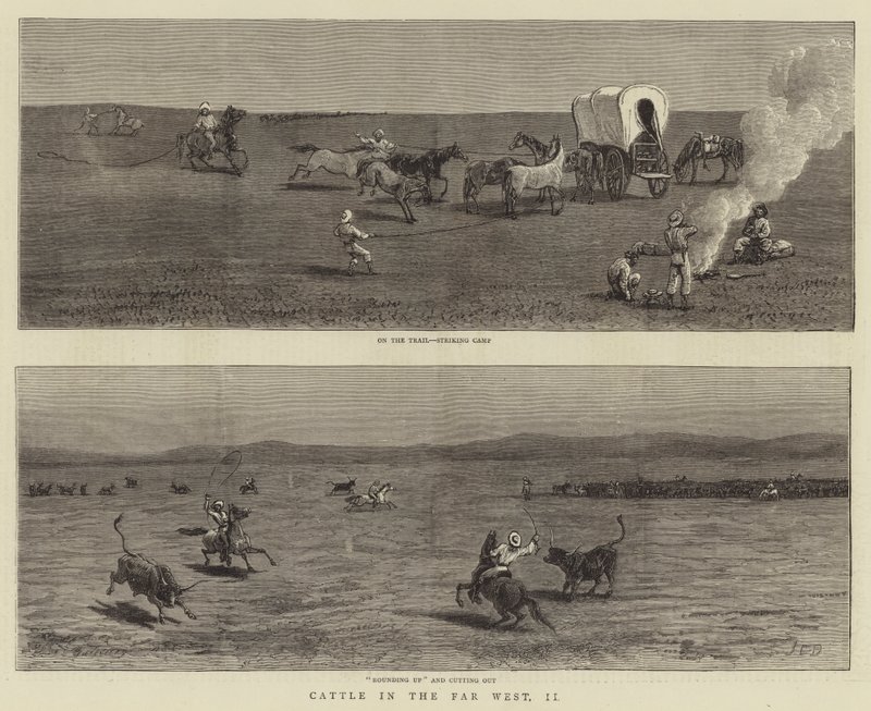 Dobytek na Dálném západě, II od John Charles Dollman