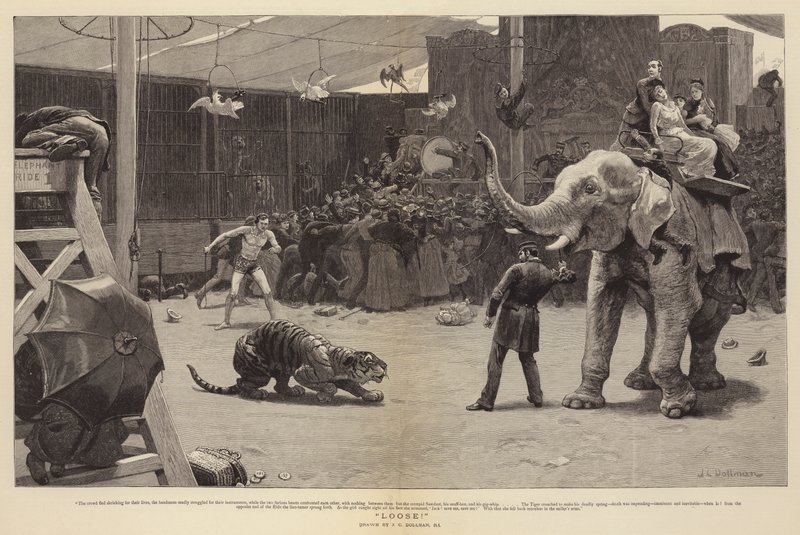 Volný! od John Charles Dollman