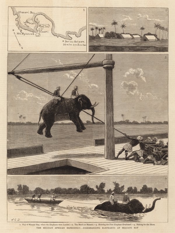 Belgická africká expedice, vylodění slonů v zátoce Msasani od John Charles Dollman