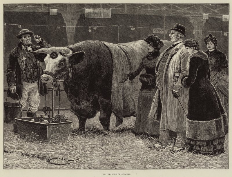 Radost z úspěchu od John Charles Dollman