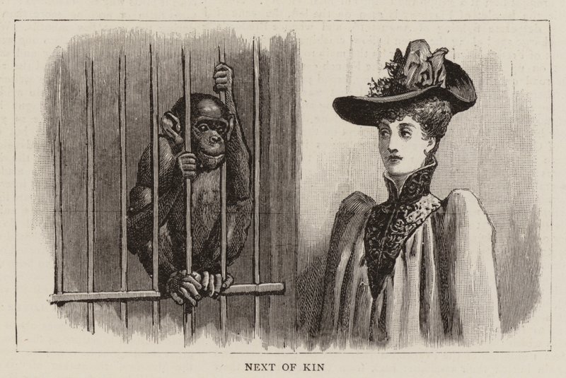 Putování po zoo od John Charles Dollman