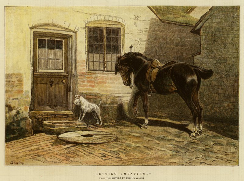 Začínám být netrpělivý od John Charlton