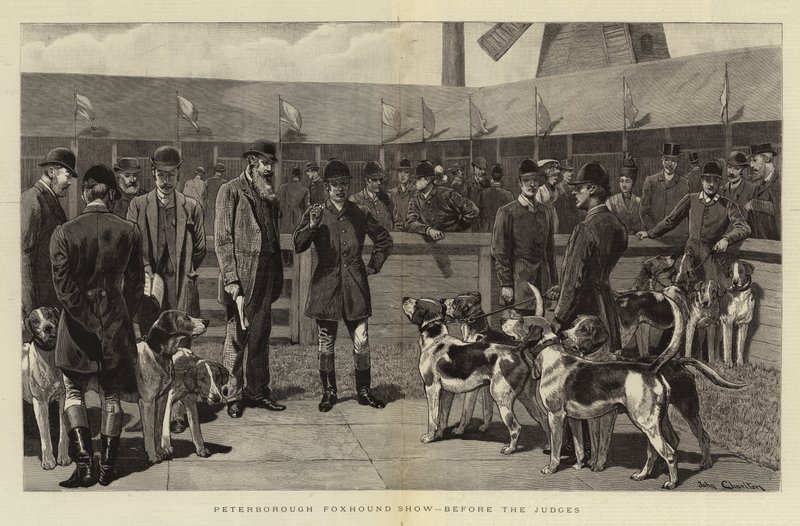 Peterborough Foxhound Show, před rozhodčími od John Charlton