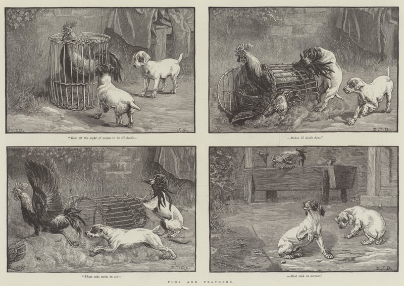 Rozruch a peří od John Gilbert