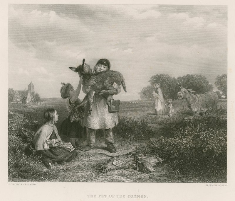 Pet of the Common od John Callcott Horsley