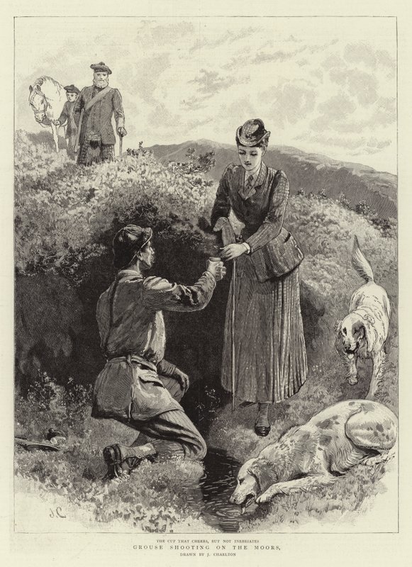 Střelba tetřevů na Maurech od John Charlton