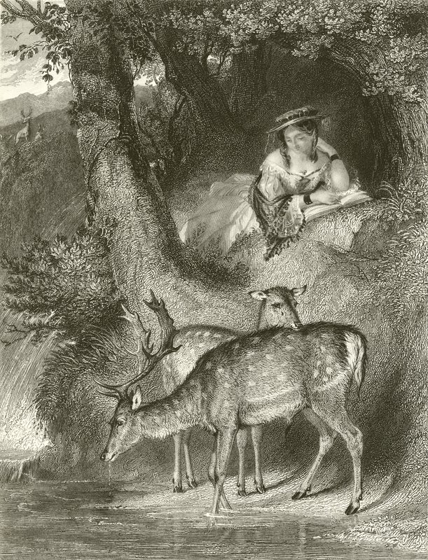 Horská samota od John Corbould