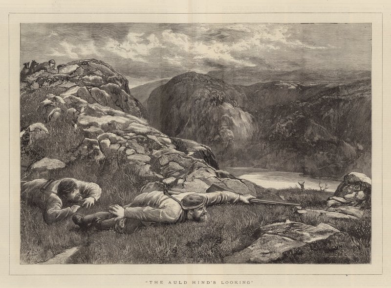 Auld Hind se dívá od John Evan Hodgson