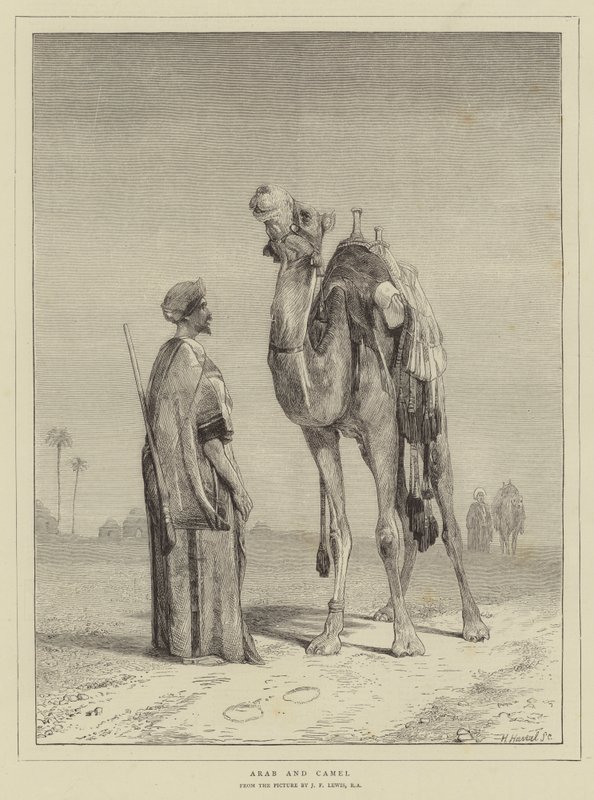 Arab a velbloud od John Frederick Lewis