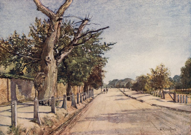Španělská cesta, Hampstead (barva lito) od John Fulleylove