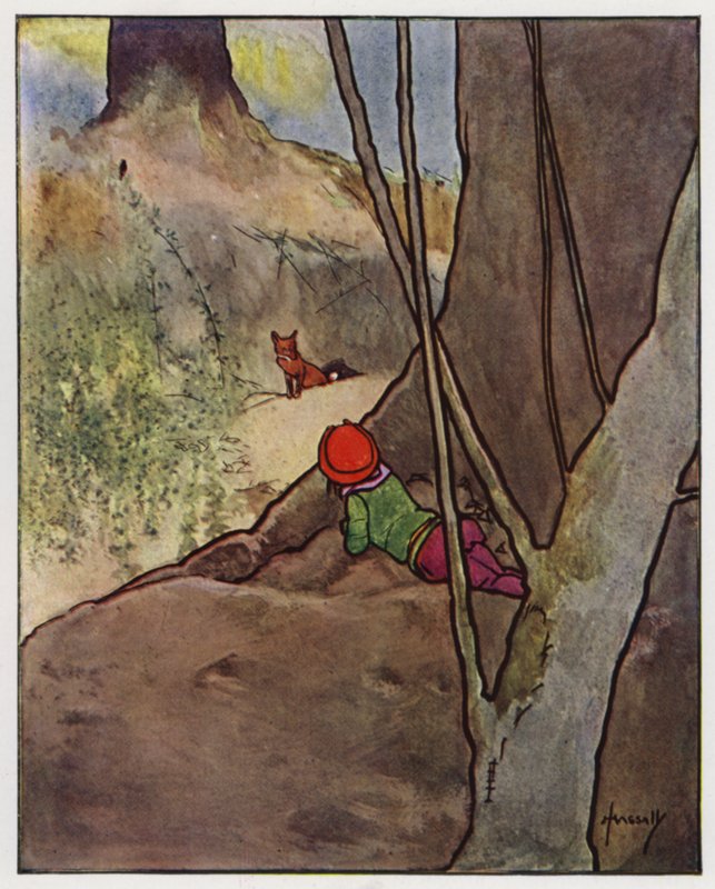 Liška (barva lito) od John Hassall