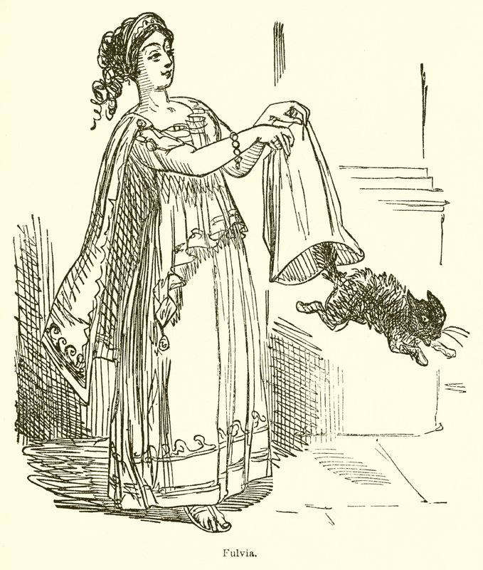 Fulvia od John Leech