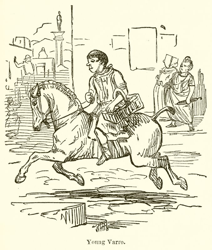 Mladý Varro od John Leech
