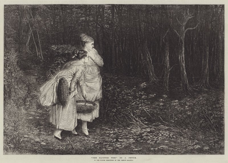 Strašidelné dřevo od John Pettie