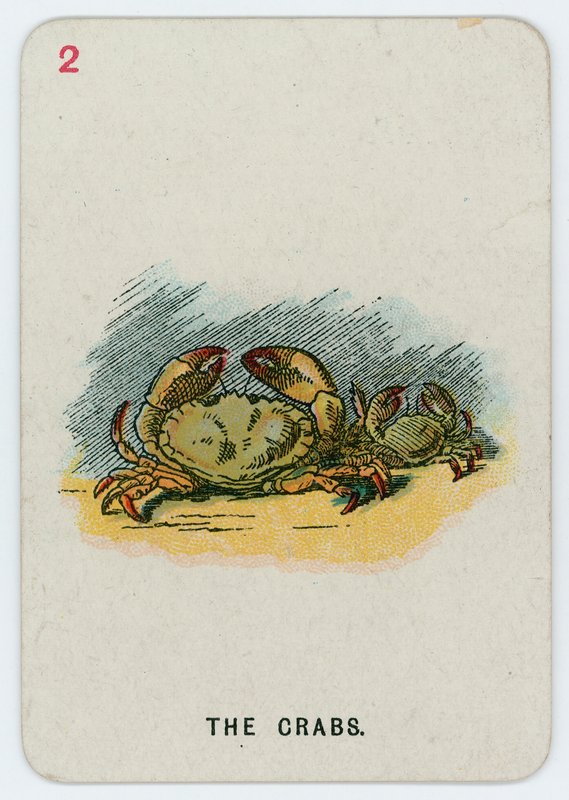 Krabi od John Tenniel