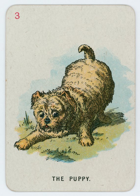 Štěně od John Tenniel