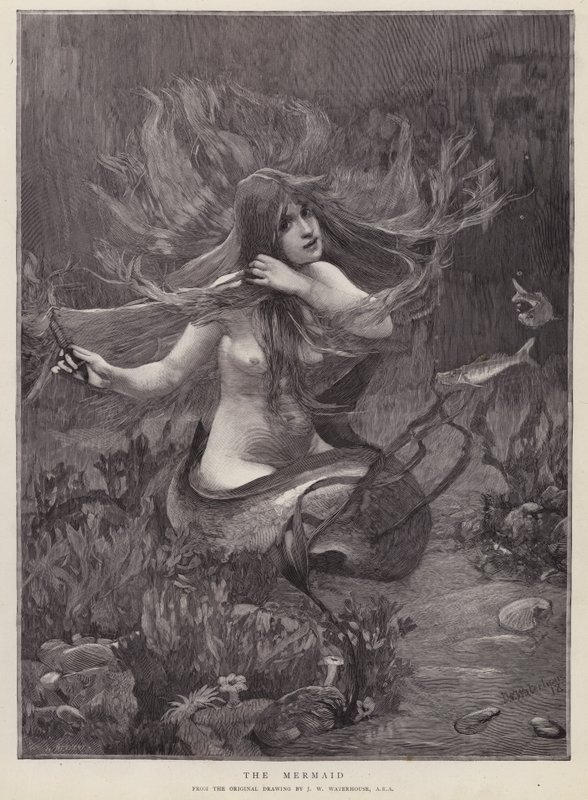 mořská panna (litho) od John William (after) Waterhouse