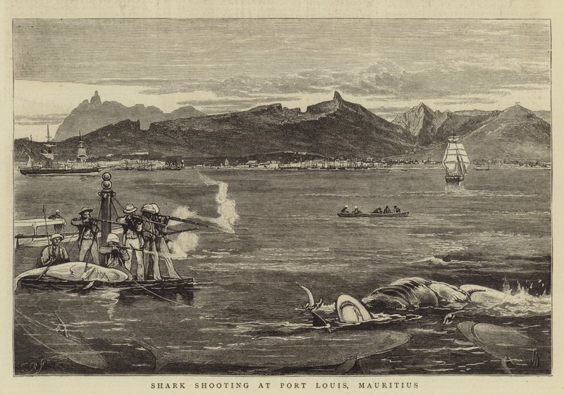 Střelba žraloků v Port Louis na Mauriciu od Joseph Nash