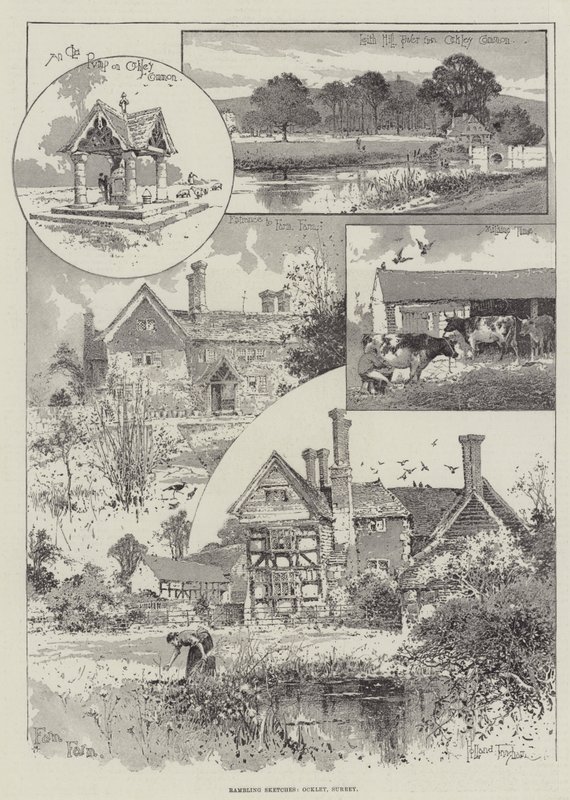 Rambling Sketches, Ockley, Surrey od Joseph Holland Tringham