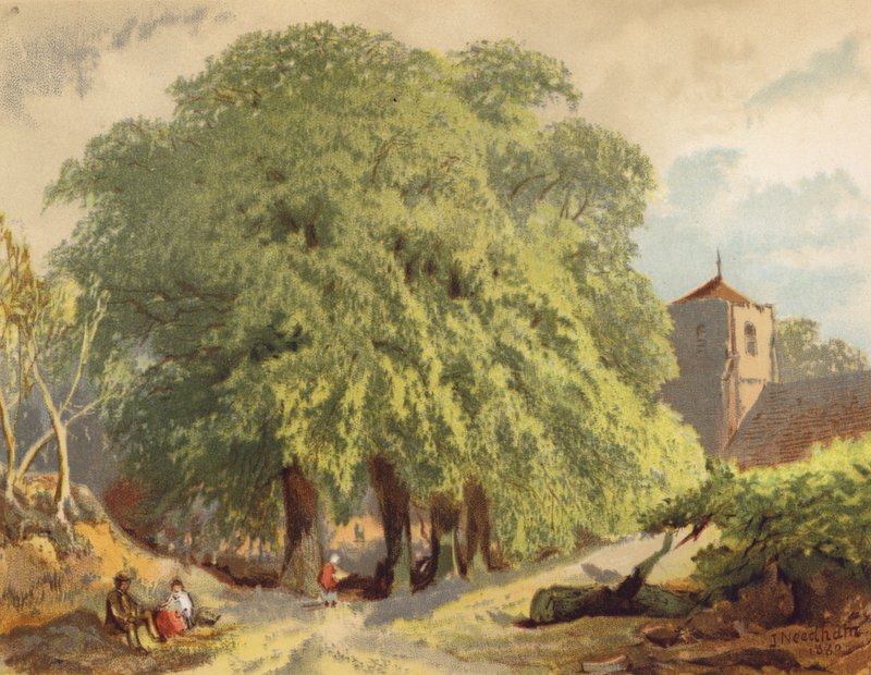 Vesnická scéna, lípy (barevná litografie) od Joseph Needham