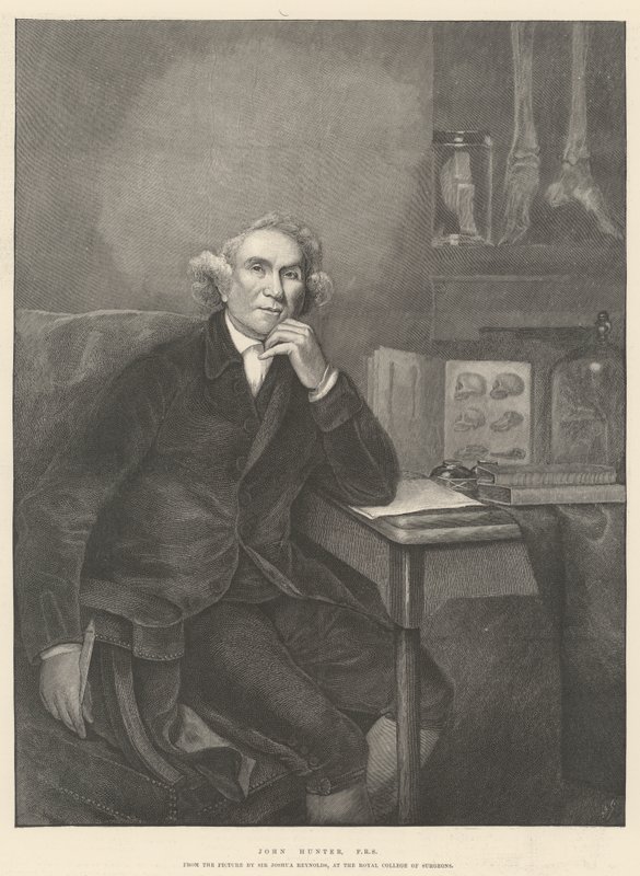 John Hunter, FRS od Joshua Reynolds