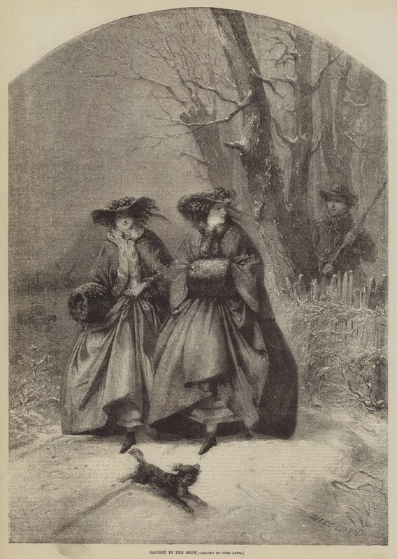 Chycený ve sněhu od Jules David