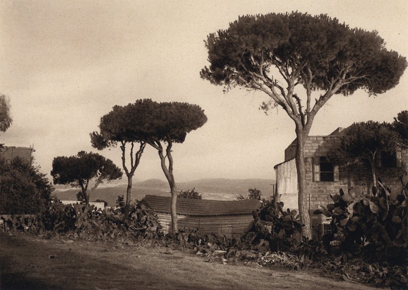 Libanon, Krajina (černobílá fotografie) od Karl Grober