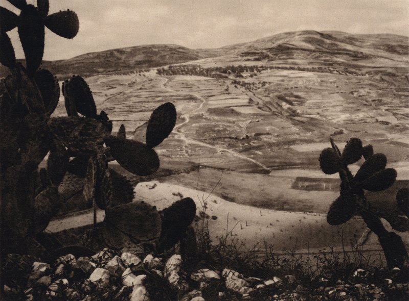 Samaria, Herodův hipodrom (černobílá fotografie) od Karl Grober