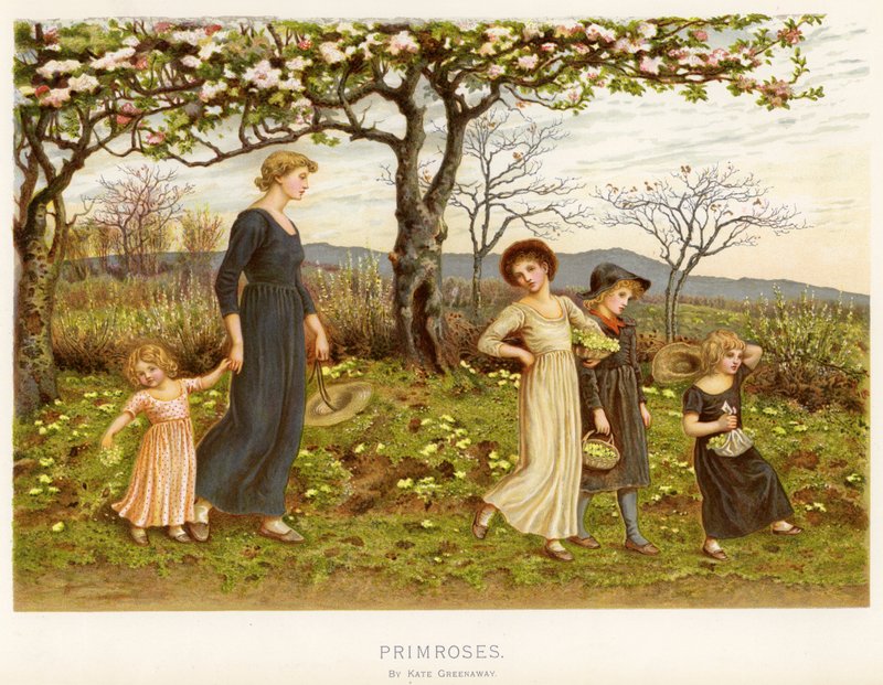 Prvosenky (chromolitho) od Kate Greenaway