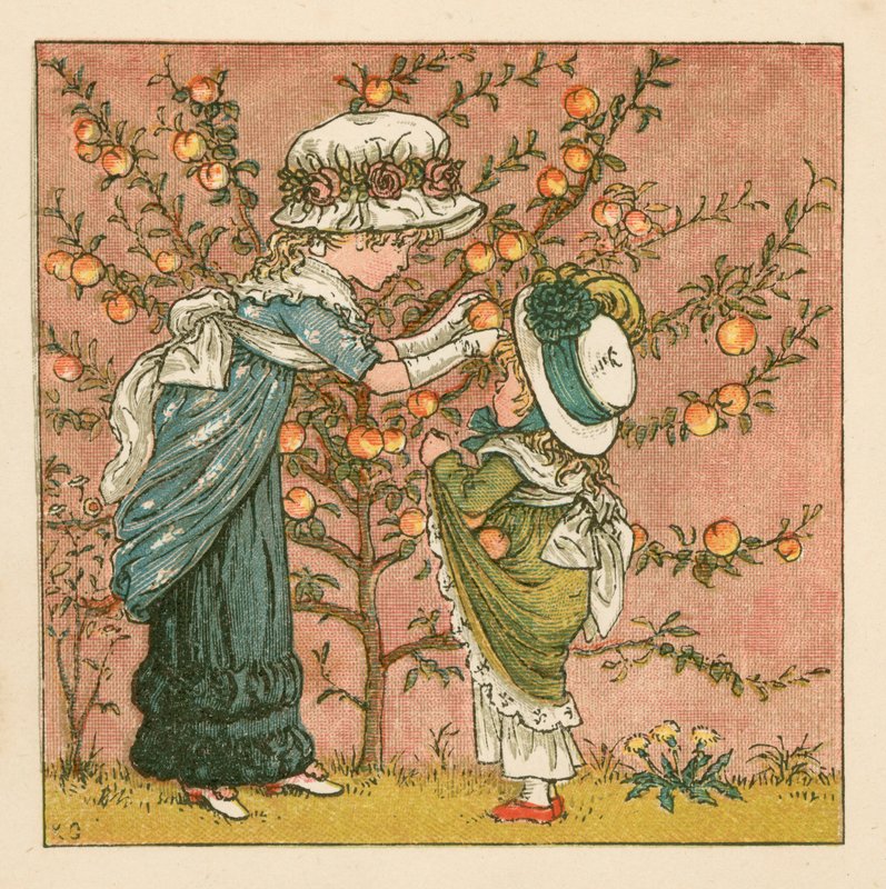 Sbírání broskví od Kate Greenaway