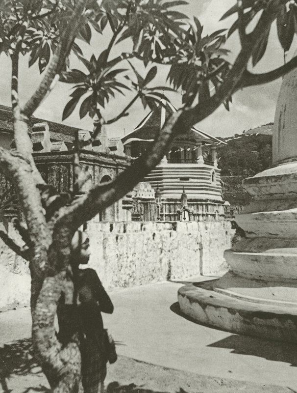 Chlapec v Maligawě (černobílá fotografie) od Lionel Wendt