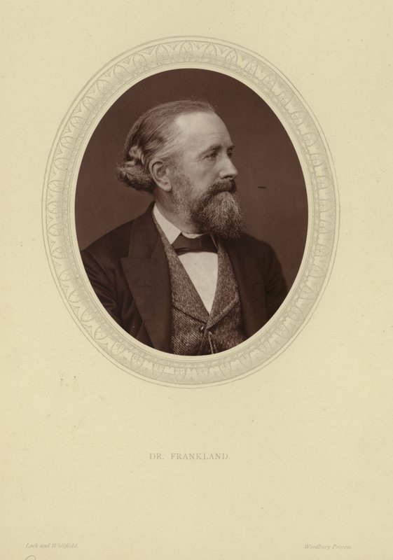 Portrét sira Edwarda Franklanda od Lock and Whitfield