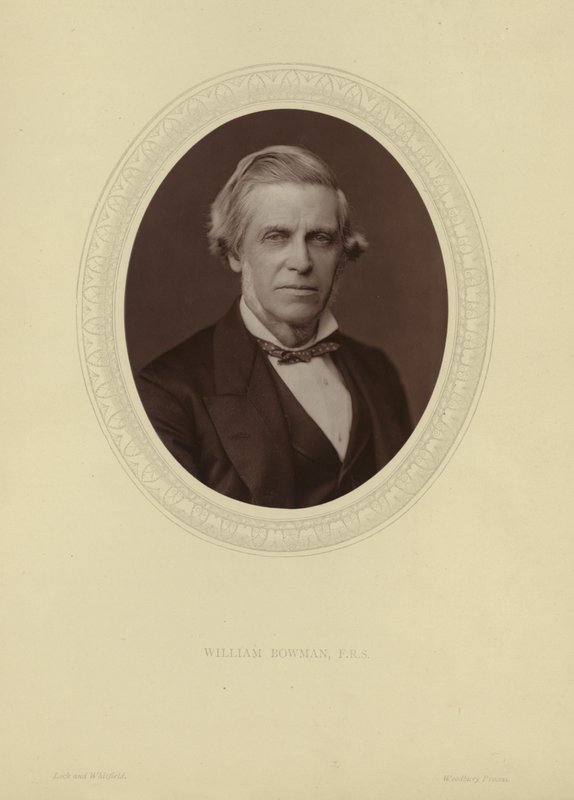 Portrét sira Williama Bowmana od Lock and Whitfield