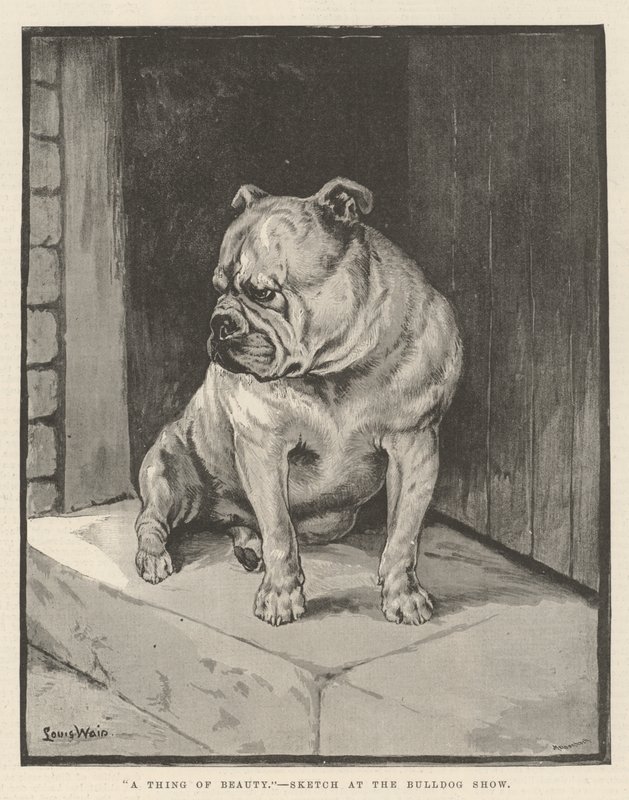 Věc krásy od Louis Wain
