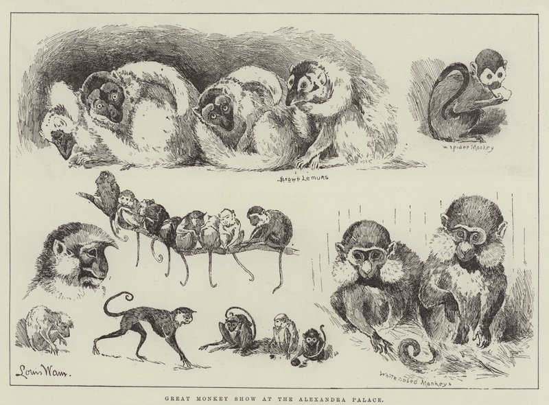 Velká opičí show v Alexandra Palace od Louis Wain