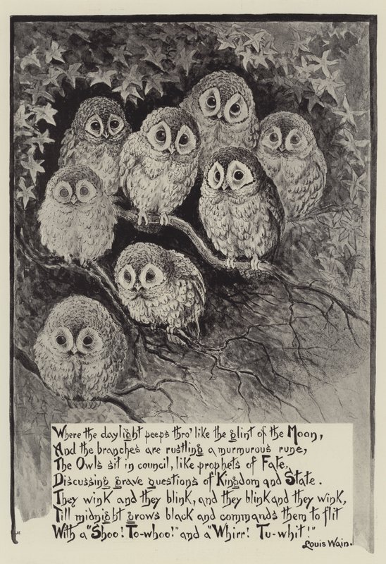 Louis Wainovy sovy od Louis Wain