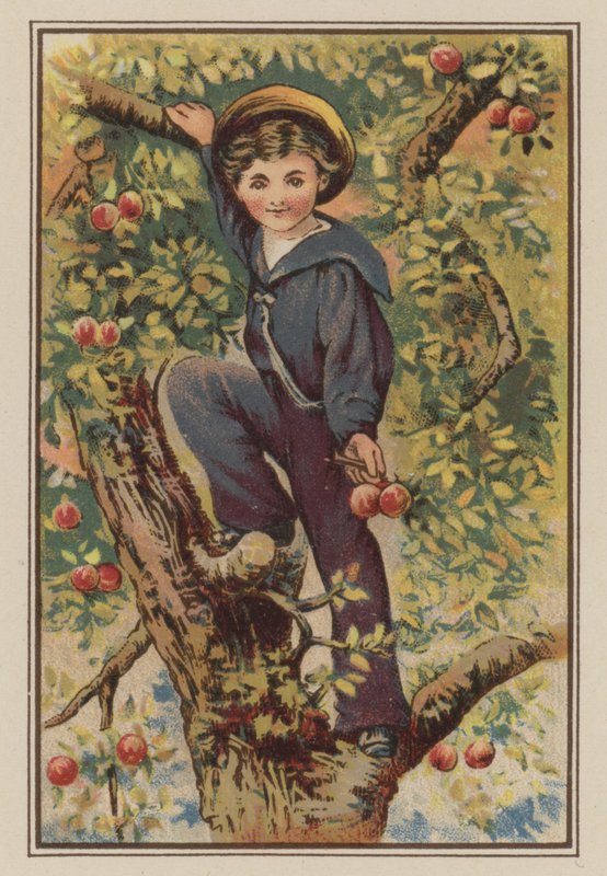 Chlapec leze na jabloň (chromolitho) od Mary Ellen Edwards