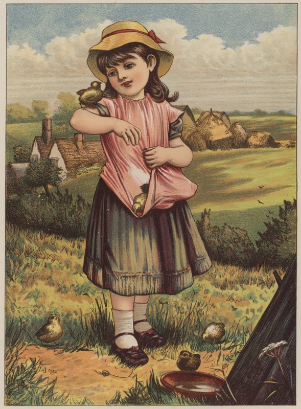 Dívka s kuřaty (chromolitho) od Mary Ellen Edwards