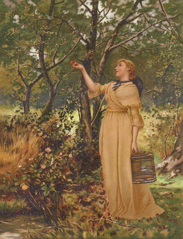 Záškolák (chromolitho) od Mary Ellen Edwards