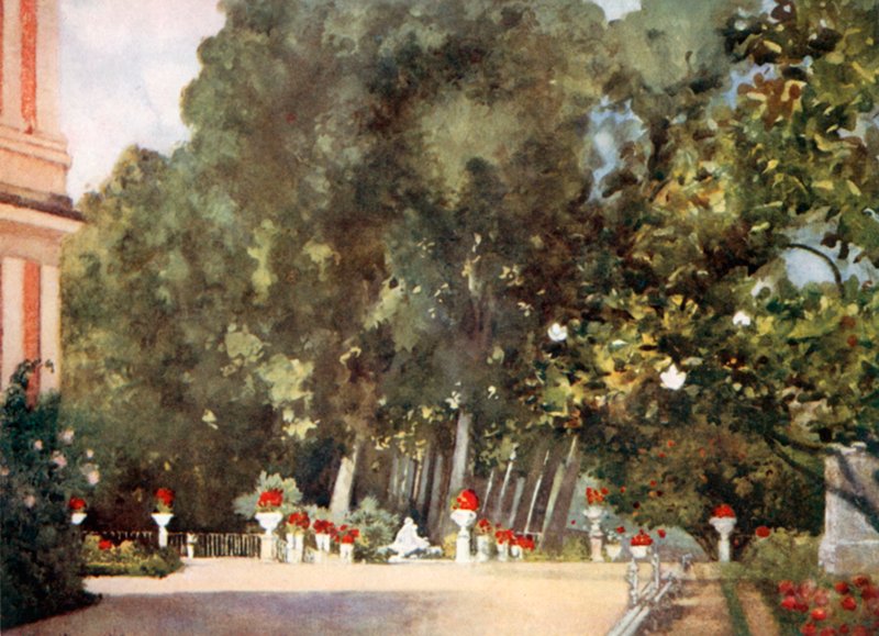Strom magnólie, Aranjuez od Mima Nixon