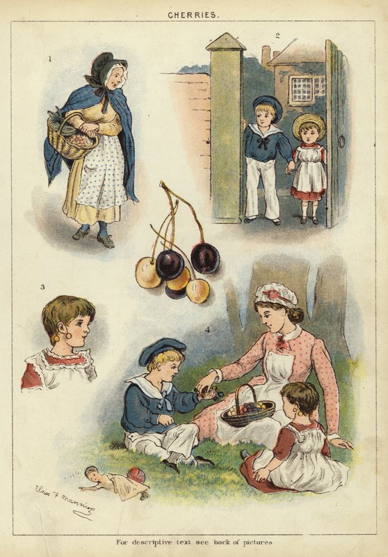 Třešně (chromolitho) od Miss Eliza F. Manning