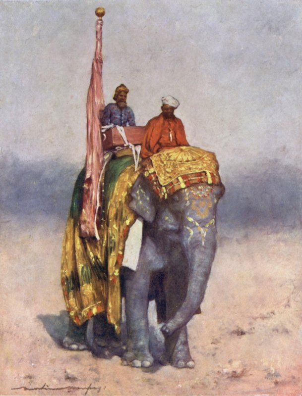 Slon z písečných pustin Rajputany od Mortimer Ludington Menpes