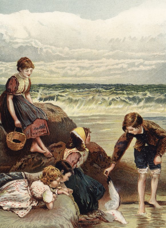 Letní radosti od Myles Birket Foster