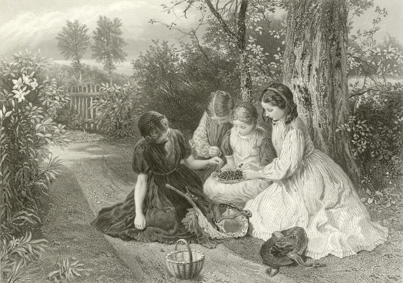 Svátek třešní od Myles Birket Foster