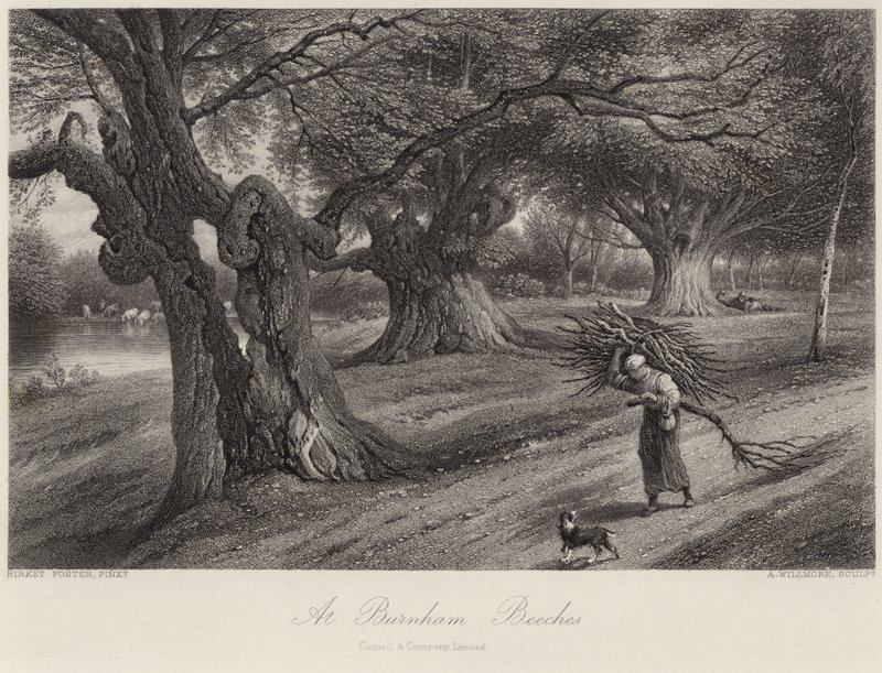 V Burnham Beeches od Myles Birket Foster