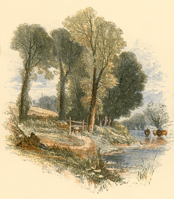 Nedělní procházky od Myles Birket Foster