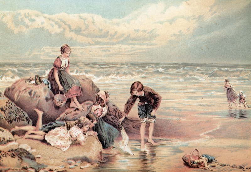 Pták z Mrtvého moře od Myles Birket Foster