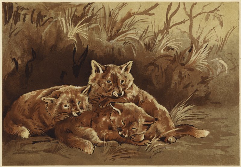 Doupě lupičů (litho) od N. Parker